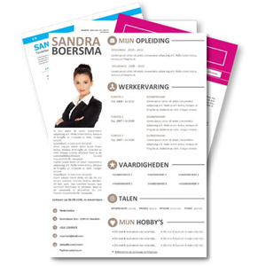 Zo maak je een perfecte CV als docent Zo maak je een perfecte CV als docent