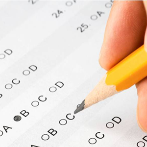 Stagecoordinator sociaal domein