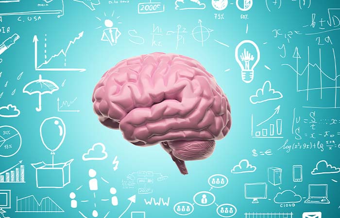 Brainstorm: je hersenen begrijpen met SchoolTV