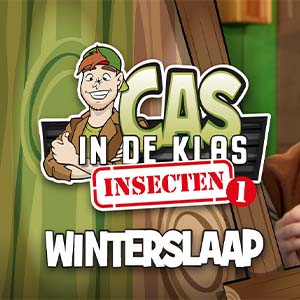 Gratis lespakket over insecten Gratis lespakket over insecten