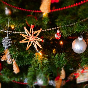200 bibliotheken doen mee aan Joris’ Kerstboom 200 bibliotheken doen mee aan Joris’ Kerstboom
