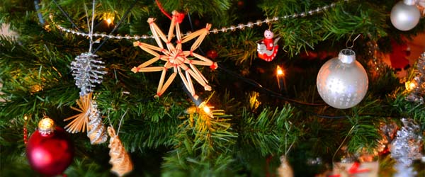 200 bibliotheken doen mee aan Joris’ Kerstboom