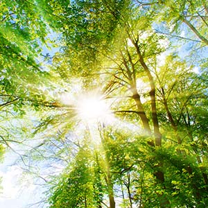 Boswachter Tim begint eigen buitenavontuur op Het landje van Tim