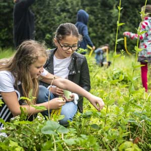 Maand van de Schooltuin moet belang schooltuinieren op de kaart gaan zetten