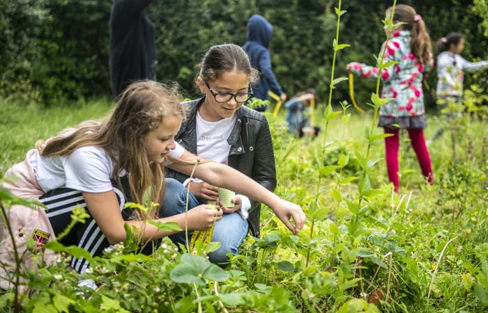 Maand van de Schooltuin moet belang schooltuinieren op de kaart gaan zetten