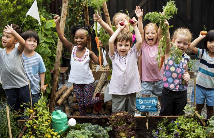 Handige planten in het klaslokaal