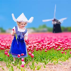 De perfecte herfst bloemen voor je bloembakken