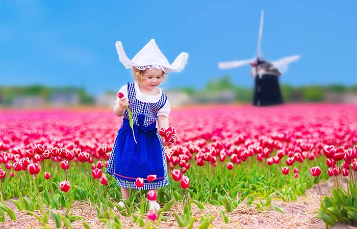 De perfecte herfst bloemen voor je bloembakken