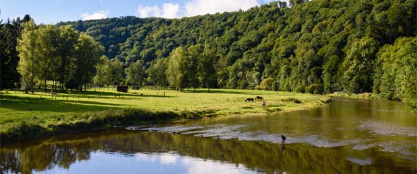 Vijf locaties in de Ardennen met de mooiste vakantiehuizen